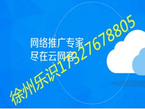 徐州网络推广新选择 云网客效果解析与乐识公司技术服务评估