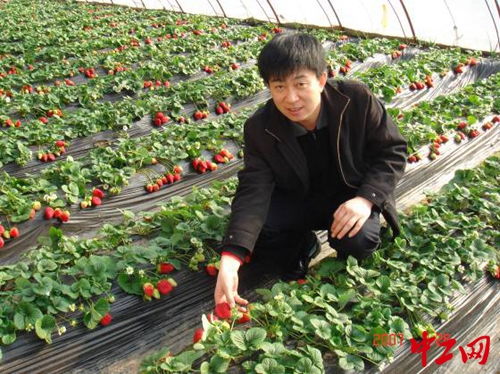 28载农技推广路 坚守一线，播撒科技兴农的种子