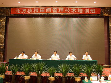 技术推广服务中心 连接创新与应用的桥梁