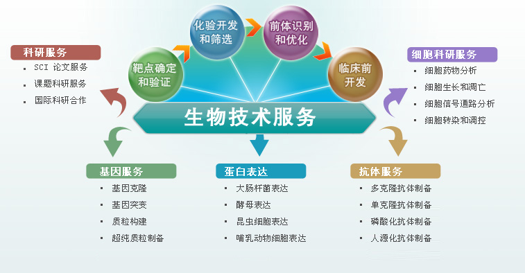 技术研发服务与技术推广服务的相互赋能之道