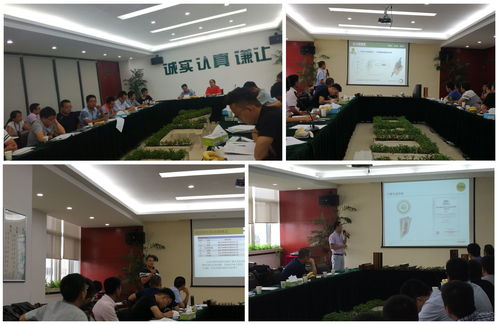 中财型材技术推广服务深度解析 赋能绿色建筑与产业升级